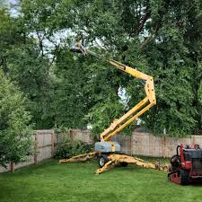 Best Stump Grinding and Removal  in K I Sawyer, MI